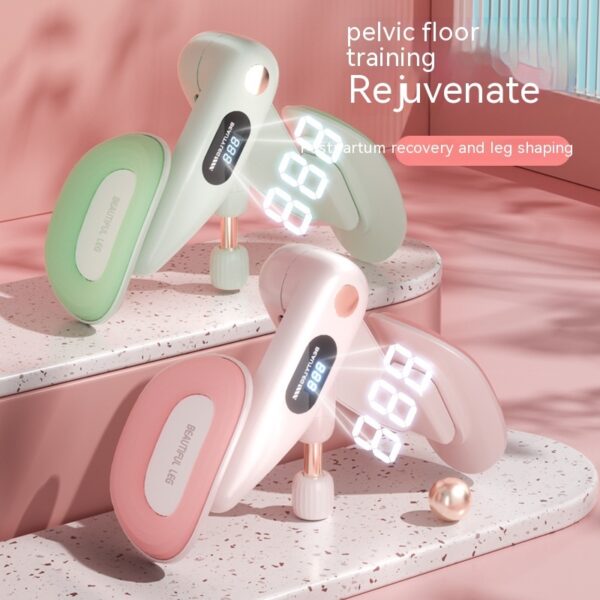 Pelvic Floor Muscle Count Training Repair Device - Image 2